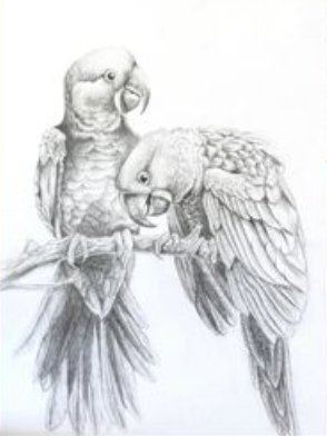 Level 5 (Age 14-16) artwork example 4